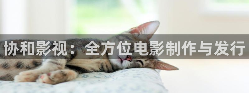 金牌特勤隊 電影：協和影視：全方位電影制作與發行