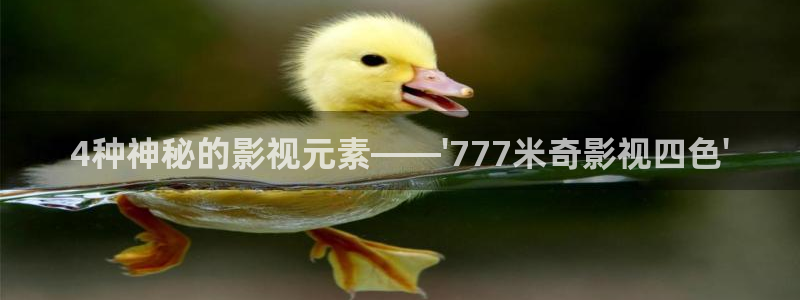 現在就出發金牌影院：4種神秘的影視元素——\'777米奇影視四色\'