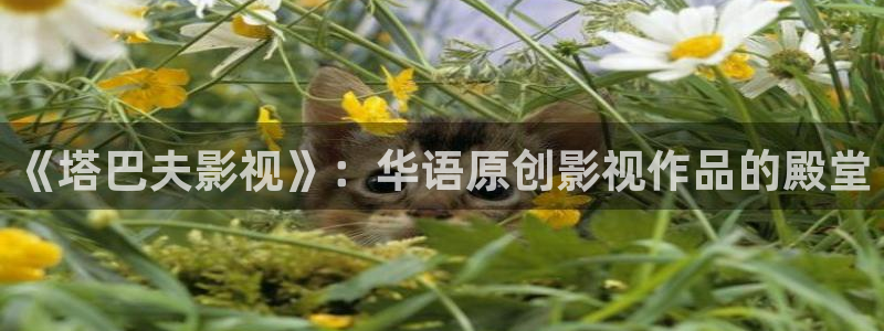 金牌影院\'：《塔巴夫影視》：華語原創影視作品的殿堂